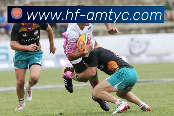 太阳城平台品牌故事