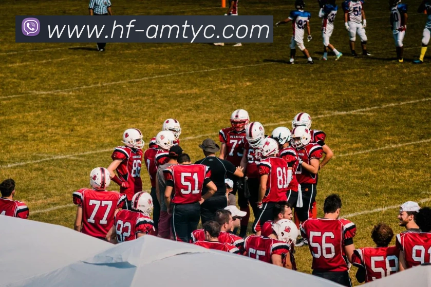 太阳城平台服务体系